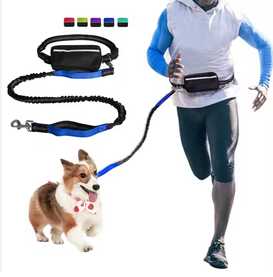 Dog belt leash